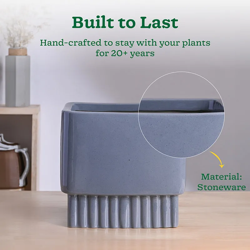 Ugaoo Sleepy Sprout Square Ceramic Planter - Dark Grey media 4