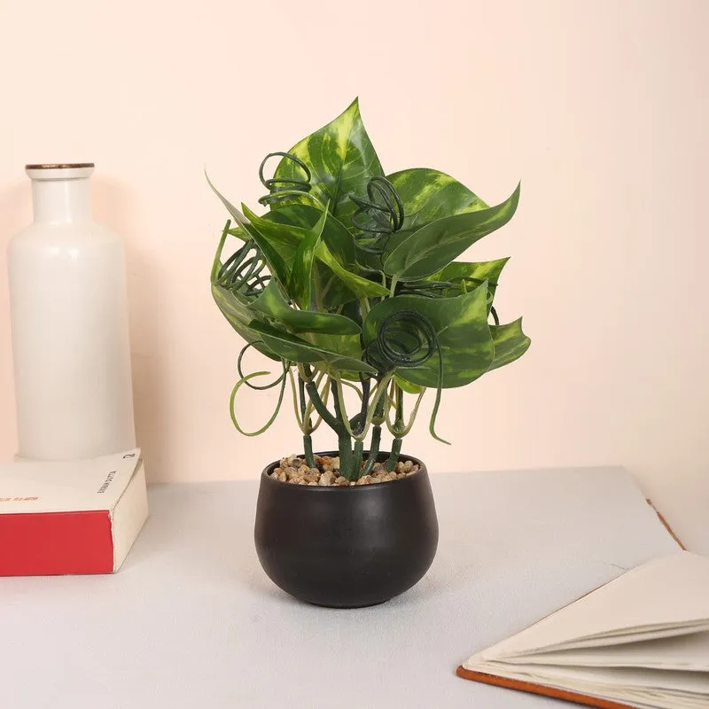 Lucky Artificial Money Plants With Pot - Dark Green media 1