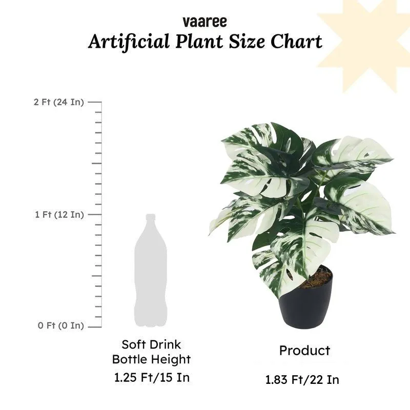 Faux Lush White Monstera Plant With Black Plastic Pot - 1.8 Feet media 7