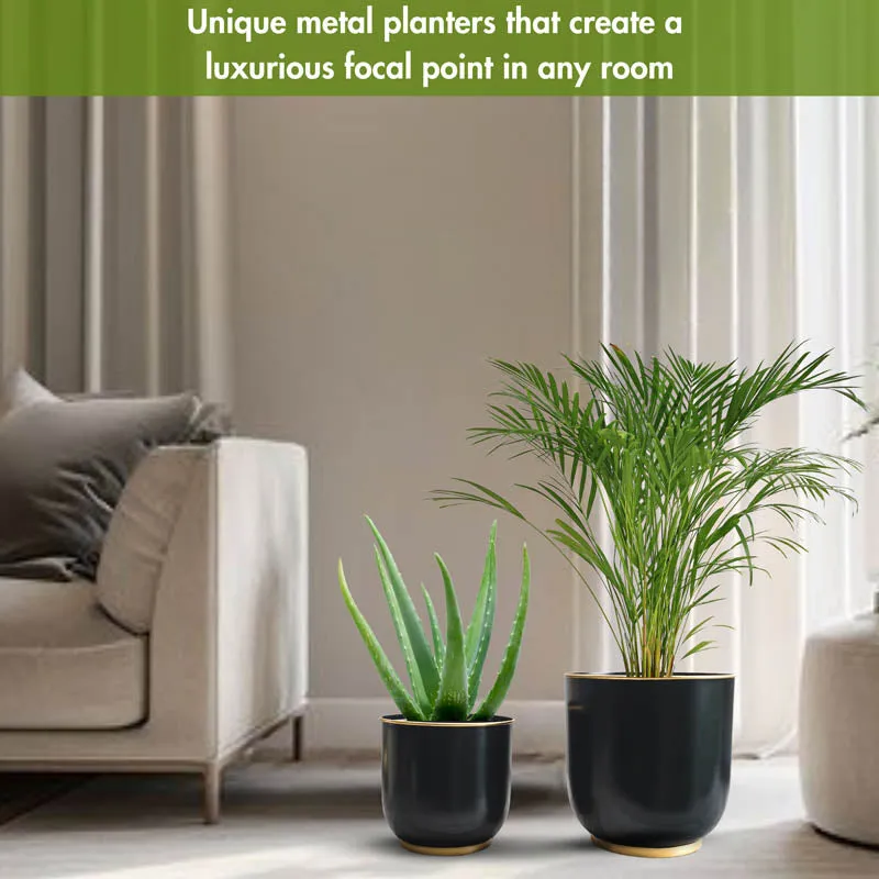 Raven Floor Planter - Set of Two media 2