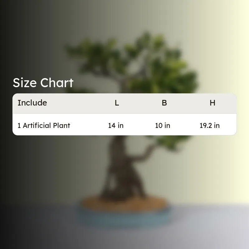 Faux Schefflera Bonsai In Tray Pot - 48 cms media 5