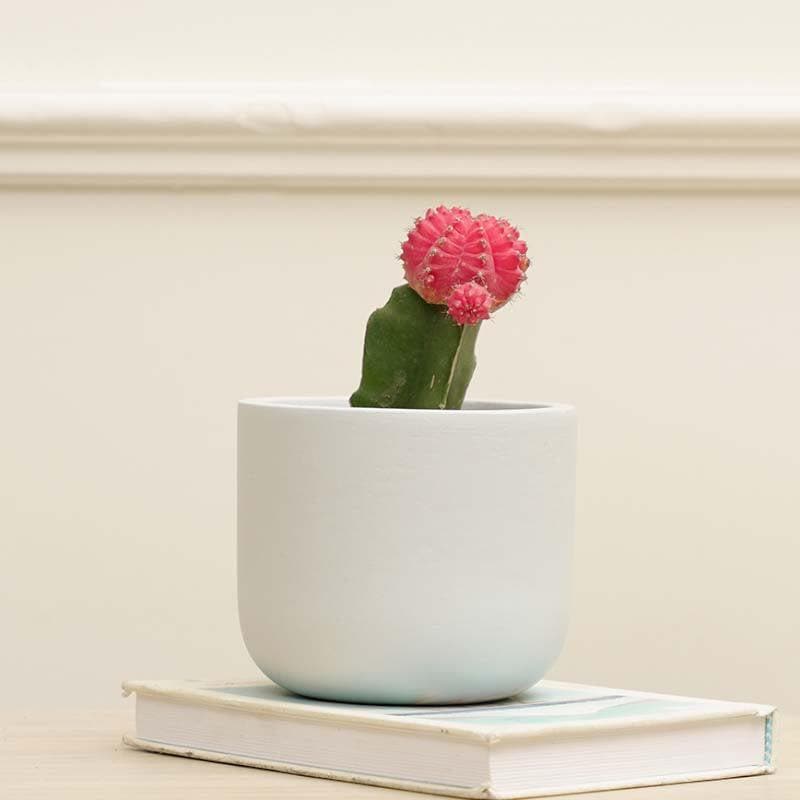 Oh-So Cute Planter- Sky Blue media 2