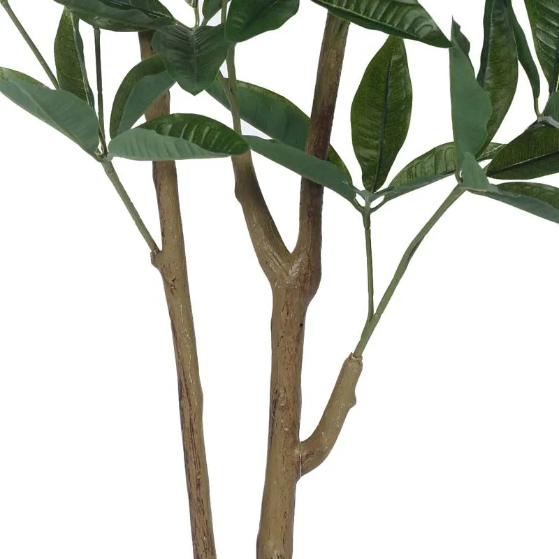 Faux Lush Pachira Plant With Black Plastic Pot - 4.3 Feet media 5