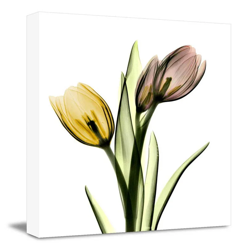Cochran Floral Wall Art media 3