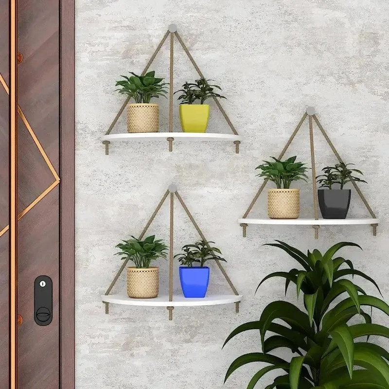 Color Pop (MDF,Wood) Shelves - Set Of Three media 1