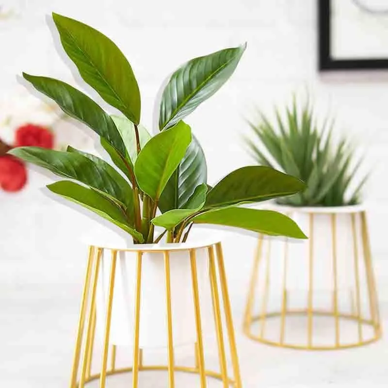 Muse Table Top Planter With Stand - Set Of Two media 4