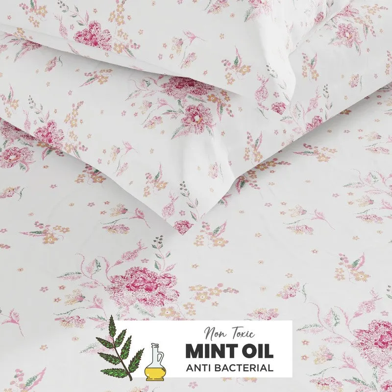 Novira Cotton Bedsheet (Red) - 144 TC media 6