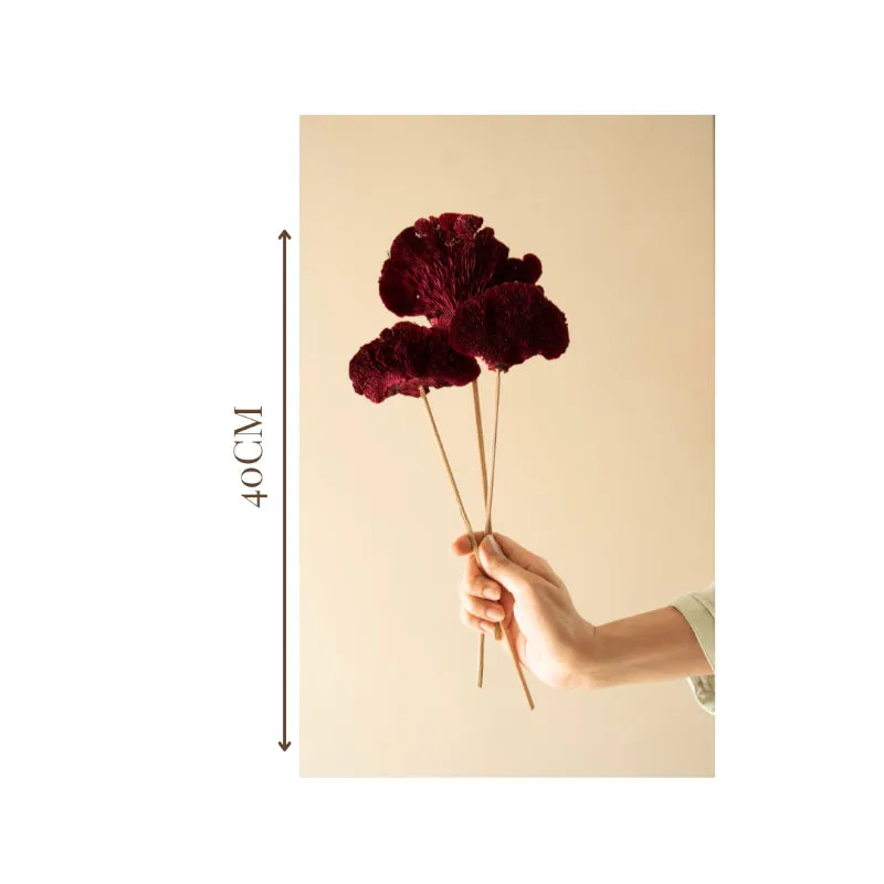 Sponge Mushroom Bunch (Maroon)  - Set Of Five media 5