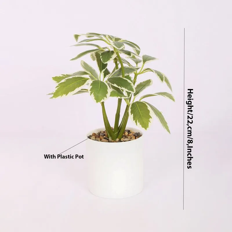 Schefflera Artificial Plants With Pot media 5
