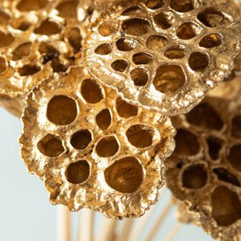 Nalay Golden Lotus Pod on Stem - Set Of Ten media 4