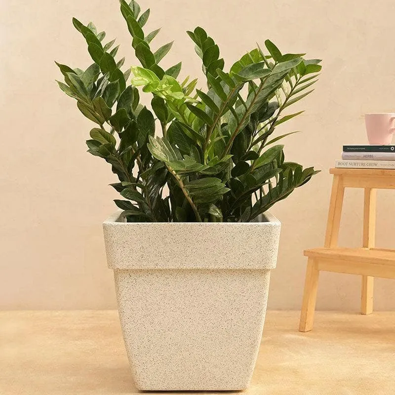 Ugaoo Barca Square Large Planter - White media 3