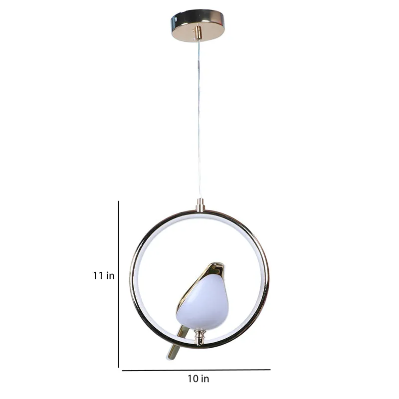 Avian Halo Iron Ceiling Lamp - Round media 11