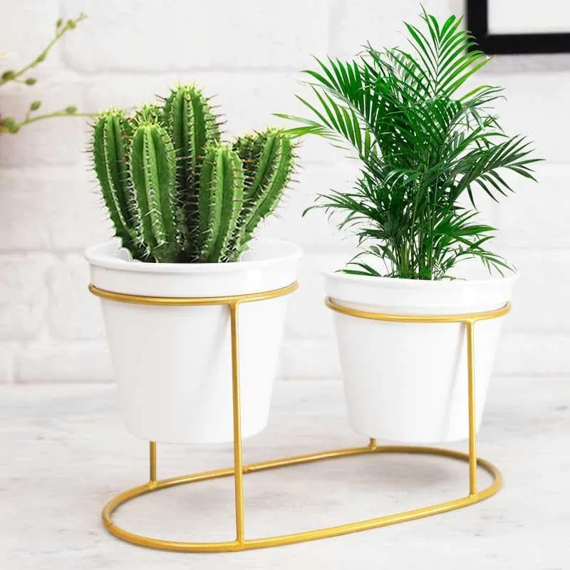 Metallic Oasis Planter media 3