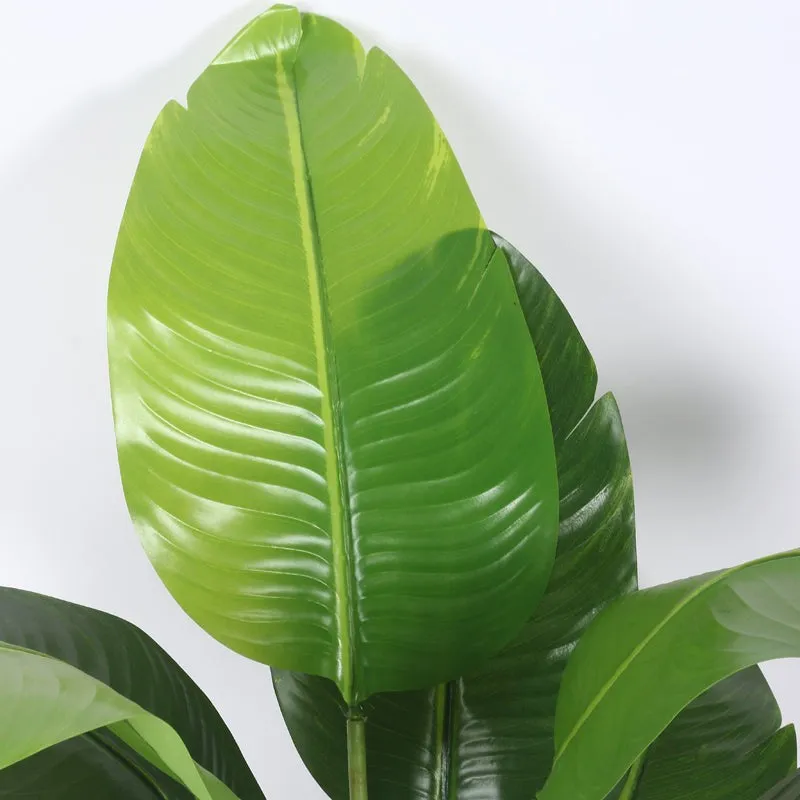 EverFresh Banana Plant With Black Fiber Pot - 3.6 Feet media 7