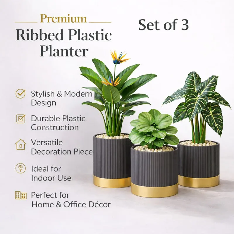 Solterra Planters (Grey) - Set Of Three media 4