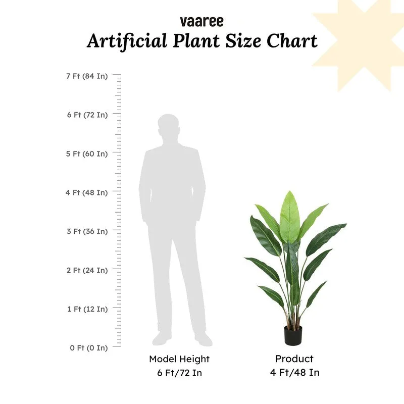Artificial Strelitzia Plant With Black Fiber Pot - 3.9 Feet media 7