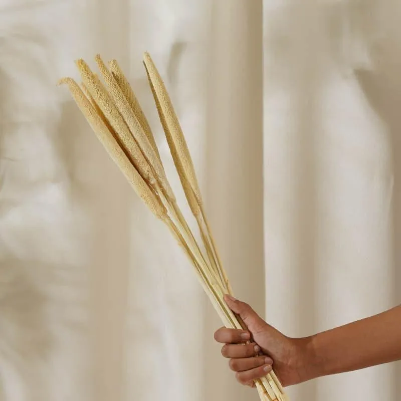Dried Bajra Stems (2.46 ft) - Bleach media 4