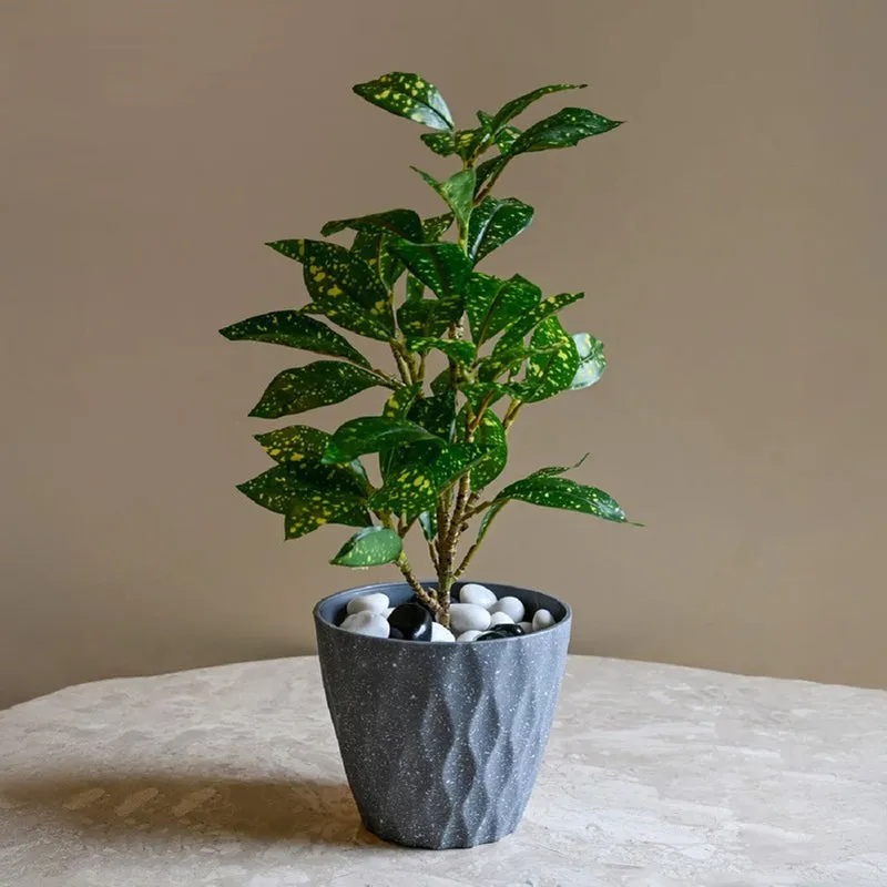 Zenvia Textured Plastic Planter - Set Of Three media 4