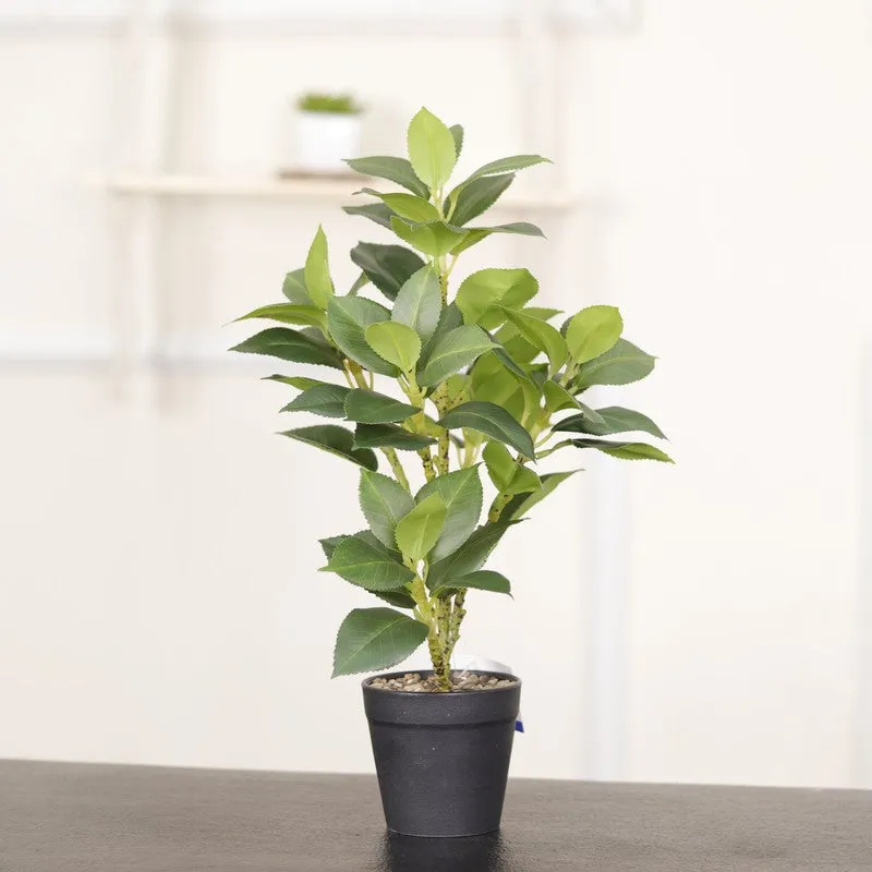 Artificial Green Leaf Plant With Black Fiber Pot - 1.3 Feet media 5