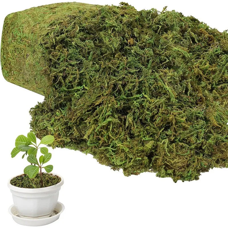 Realistic Artificial Soft Moss - Light Green media 3