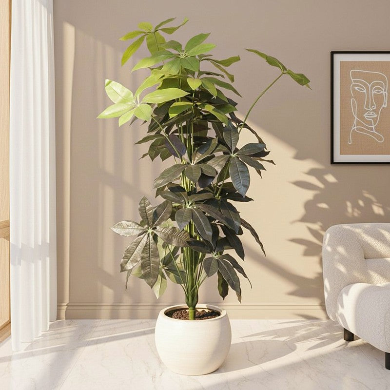 Pachira Artificial Plant With Black Plastic Pot