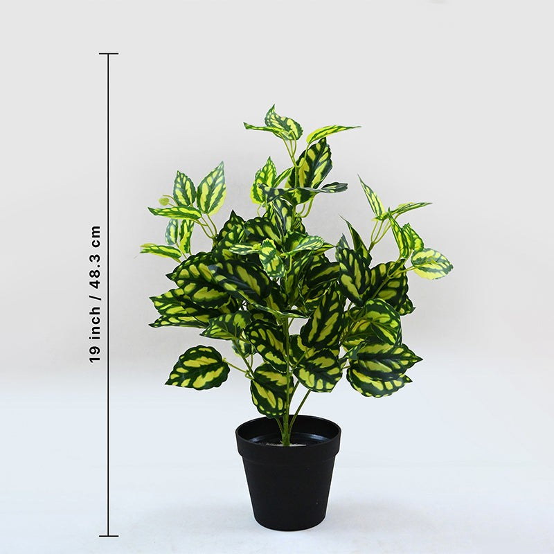Faux Everlasting Peacock Plant With Black Plastic Pot - 48 cm media 6