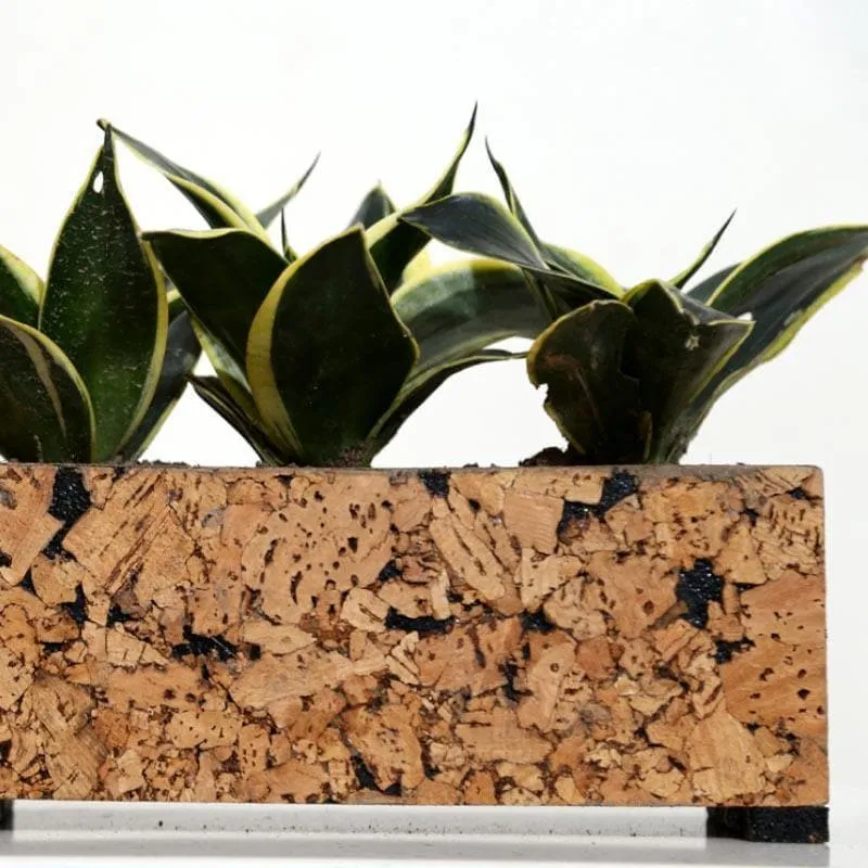 Corky Grove Tri Planter media 5