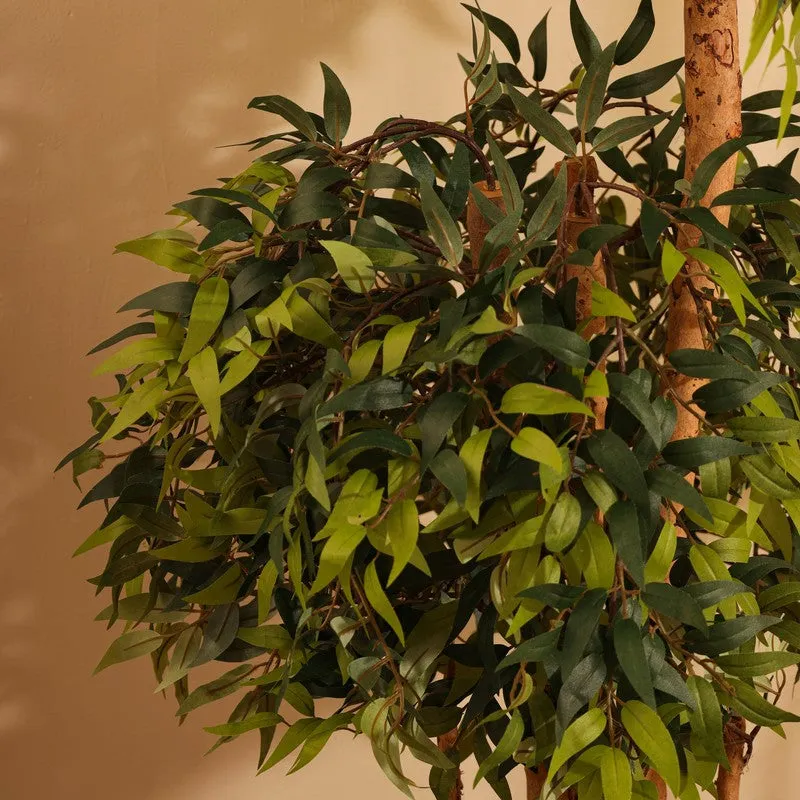 Artificial Ficus Bonsai Plant With Black Plastic Pot - 5.2 ft media 7