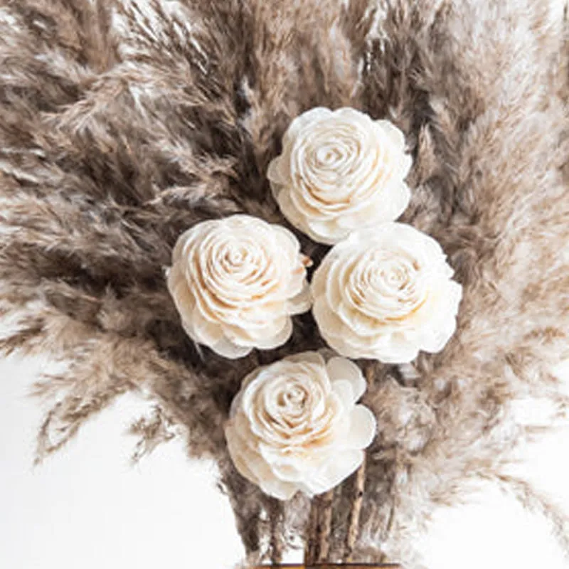 Sittora Naturally Dried Pampas Bunch (Beige)- Set Of Fourteen media 3