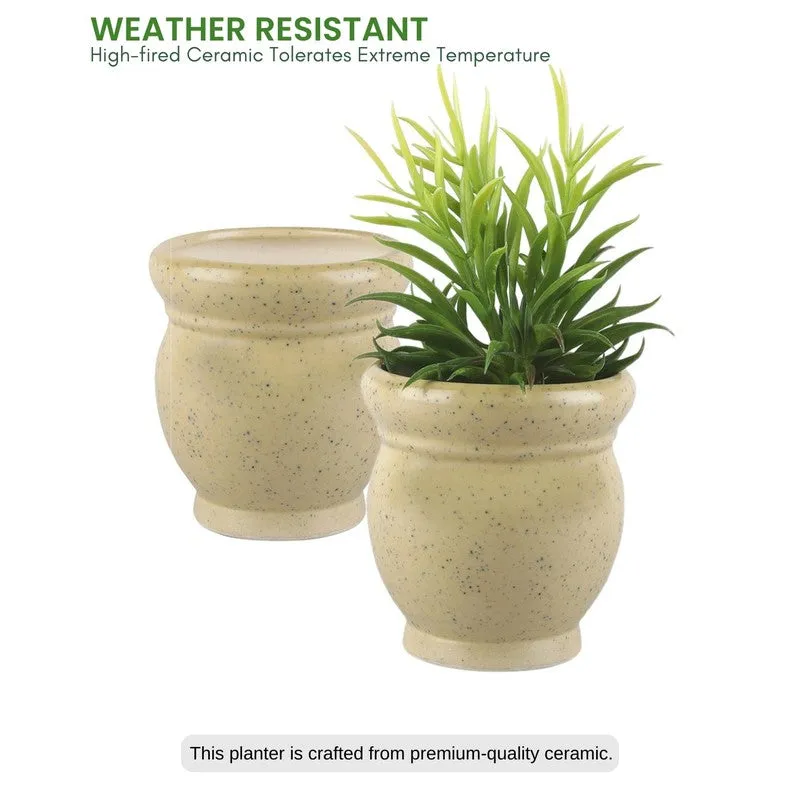 GoldenSprout Planters - Set Of Two media 6