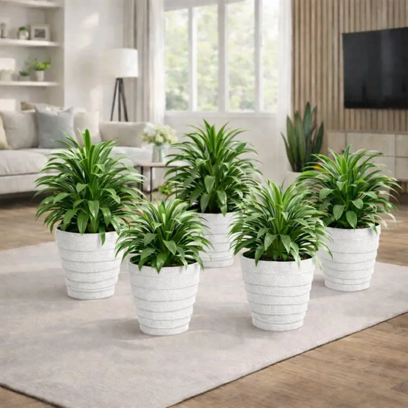 Velora Planters (White) - Set Of Five media 2