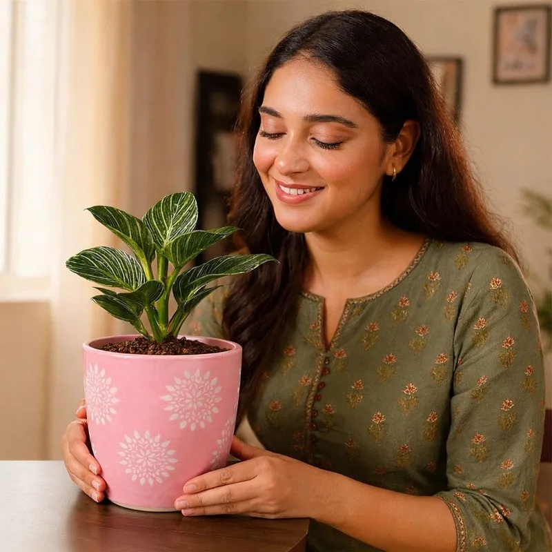 Flora Blush Ceramic Planter (Pink) - Set of Two media 7