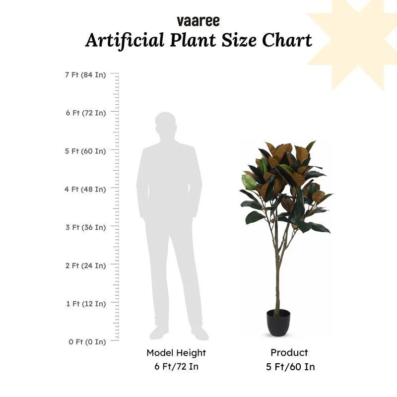 Faux Lush Mangolia Plant With Black Plastic Pot -5 Feet media 6