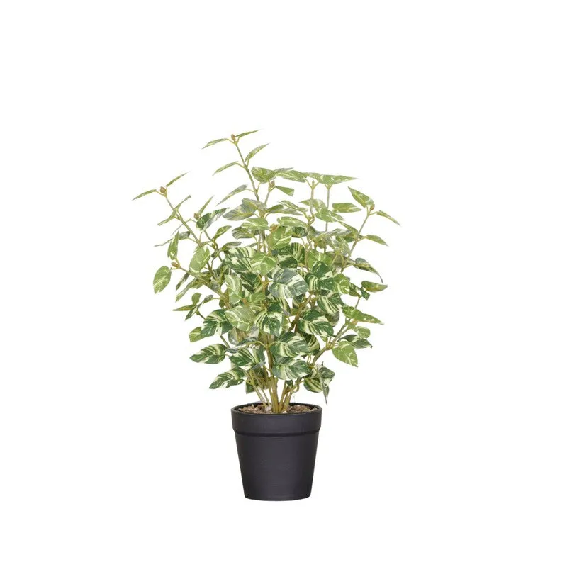 Artificial Natural Looking Pothos Big Plant With Black Fiber Pot (White) - 1.4 Feet media 4