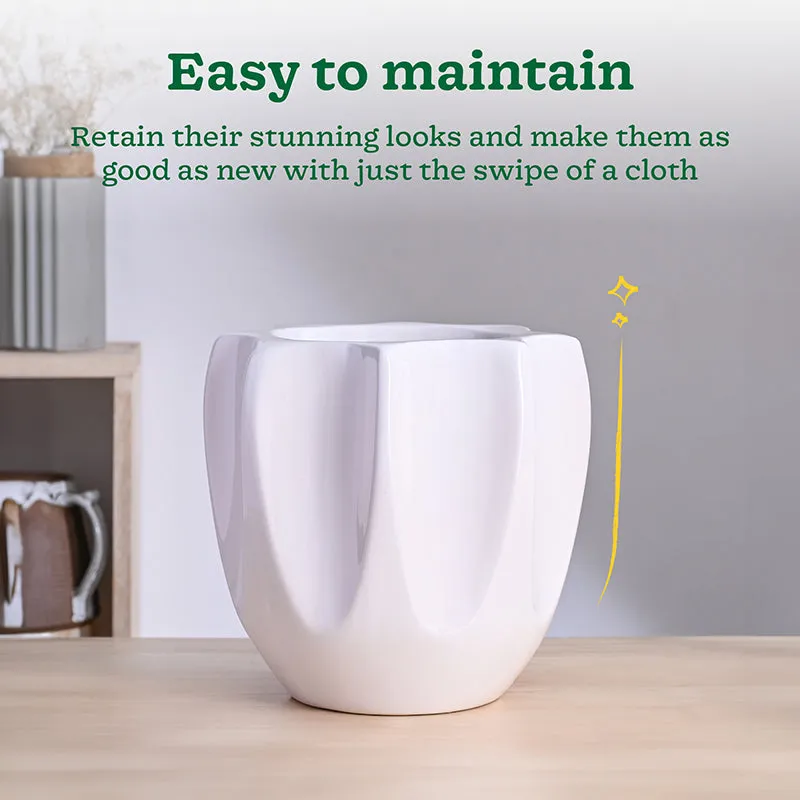Ugaoo Pebble Pod Ceramic Planter - White media 4