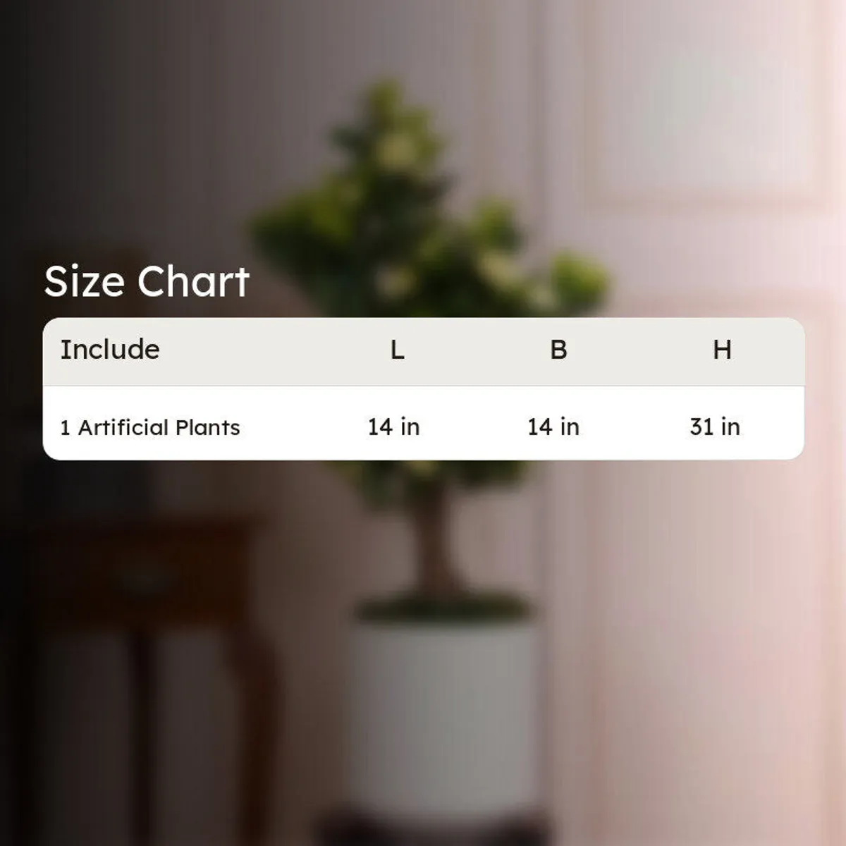 Artificial plant size chart showing approximately 14 by 14 by 31 inches.
