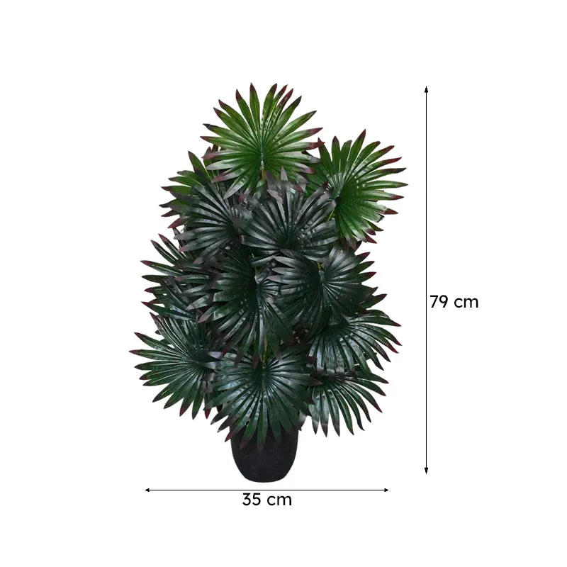 Faux Everlasting Areca Plant With Black Plastic Pot - 79 cm (2.6 ft) media 6