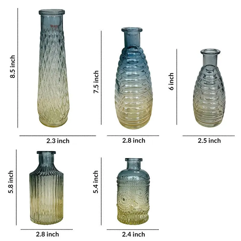 Glissera Glass Vase - Set Of Five media 10