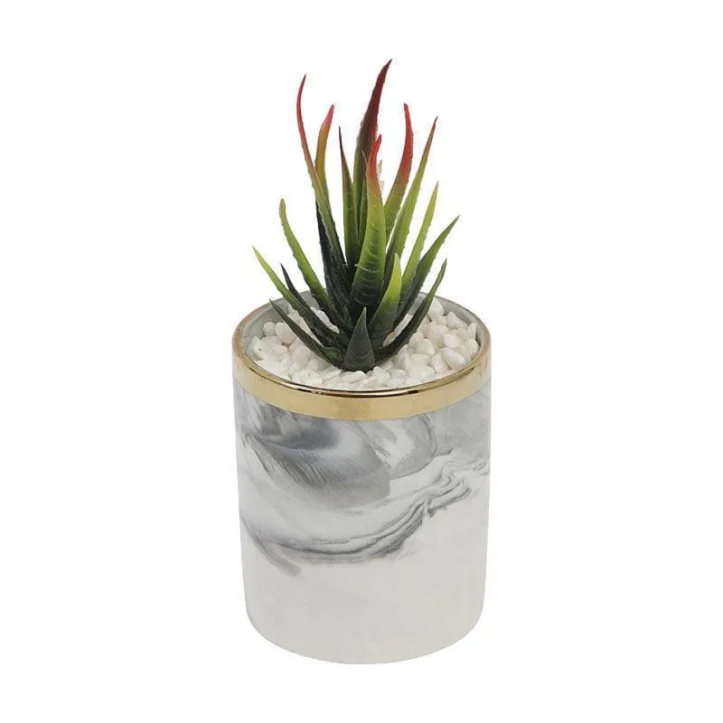 Faux Agave In Marble Pot - 26 cms media 3