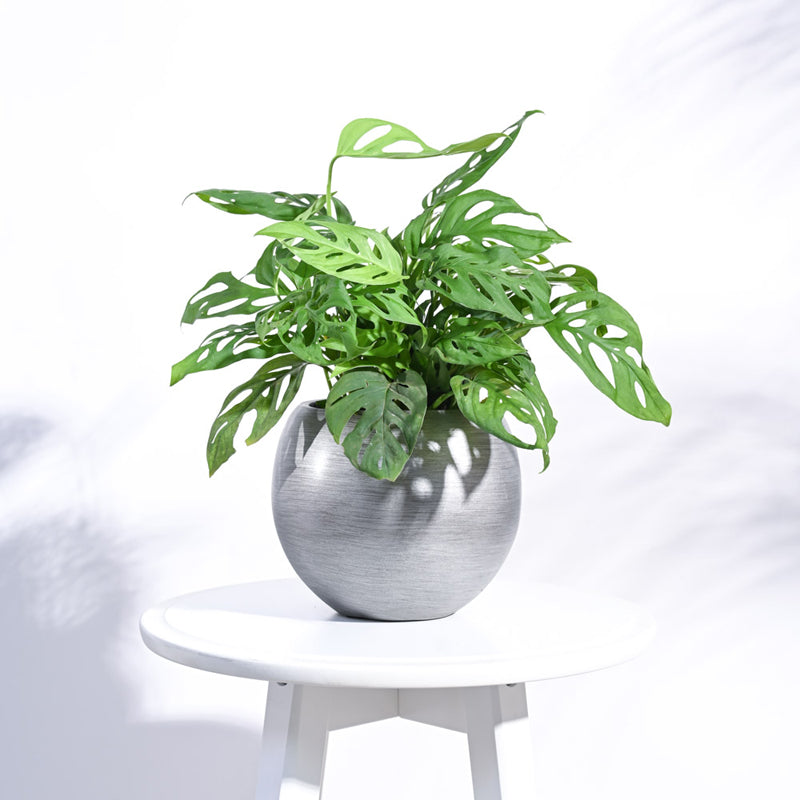 UGAOO Planter Vase Ball Retro- Silver media 3