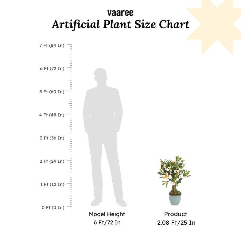 Faux Frangipani Bonsai In Ceramic Pot (2.07 ft) - White media 6