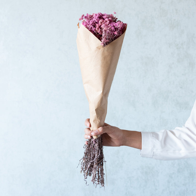 Gypso Glam Dried Flower Bunch - Pink media 4