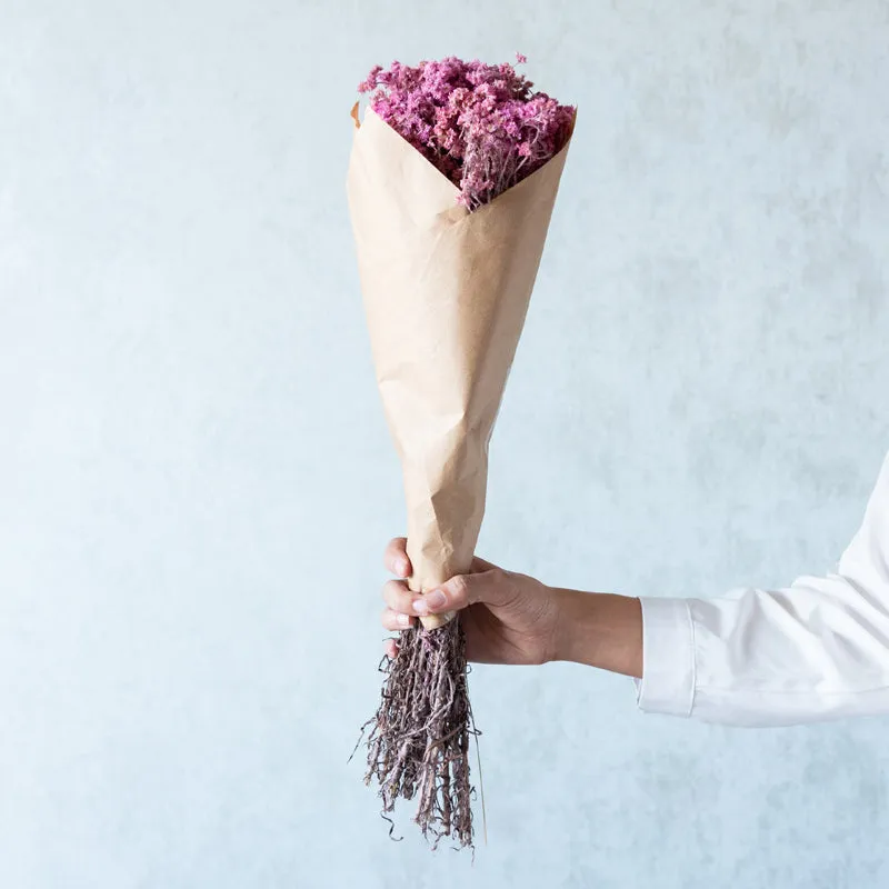 Gypso Glam Dried Flower Bunch - Pink media 4