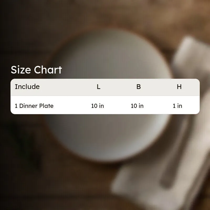 ServeCraft Ceramic Dinner Plate media 9