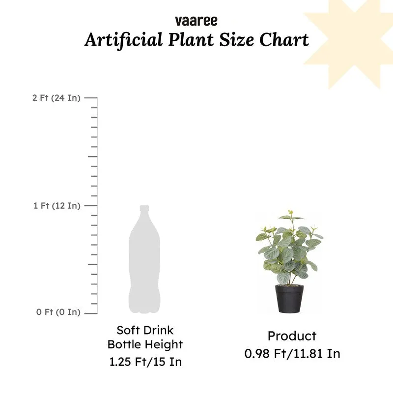 Artificial Eucalyptus Plant With Black Fiber Pot (Green) - 1 Feet media 7