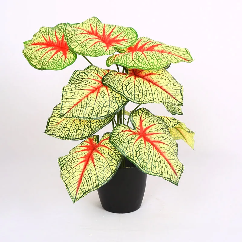 Calena Artificial Caladium With Black Plastic Pot - Yellow & Red media 5