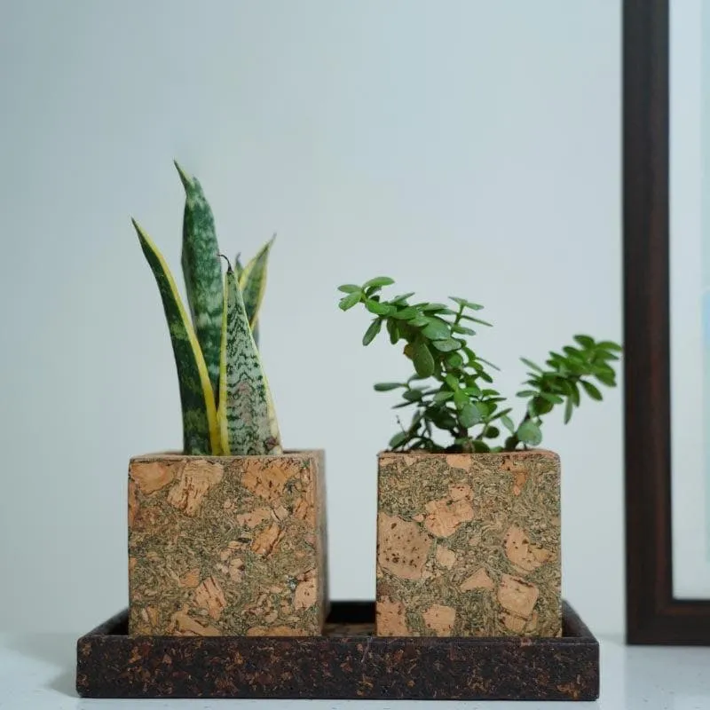 Corky Serenity Planter media 4