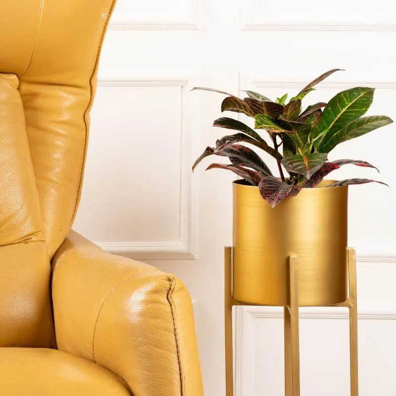 Cyra Golden Metal Planters - Set Of Three media 4