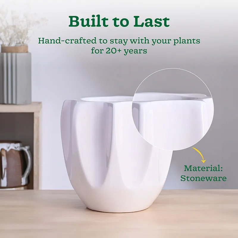Ugaoo Pebble Pod Ceramic Planter - White media 3