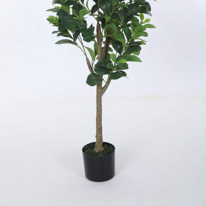 EverGreen Luxe Artificial Indoor Plant Without Pot - 4.5 Feet media 7